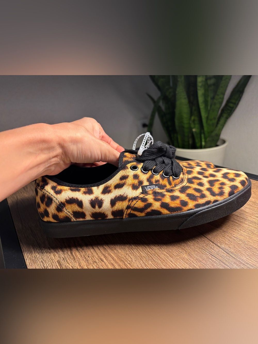 Brand New US Women’s 8.5 Vans Cheetah Print Canvas Low-Top Sneakers - Black Trim